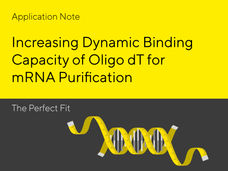 From Screening of Chromatographic Conditions to Scale-up